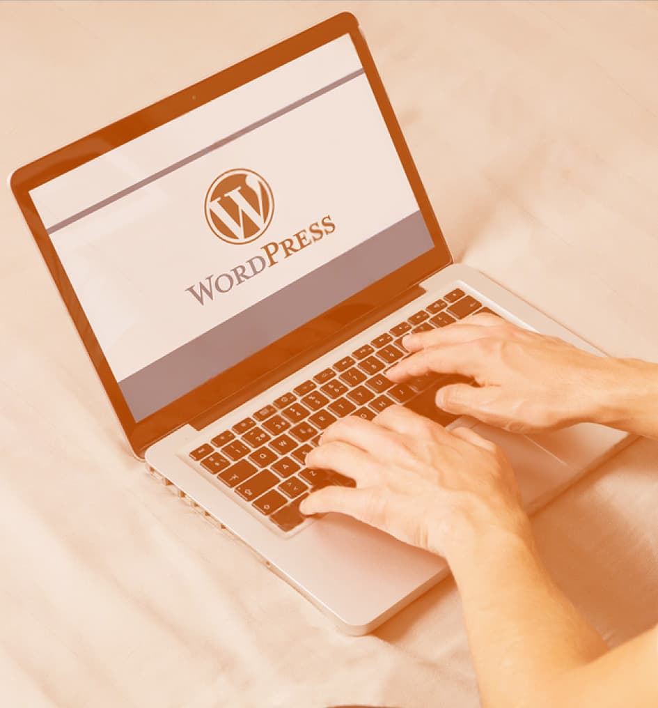 WordPress Solutions